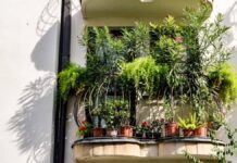 Balkonkert kialakítása – zöld növények kis helyen is
